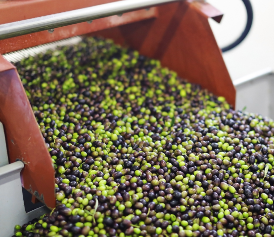 A Guide to Understanding Olive Oil