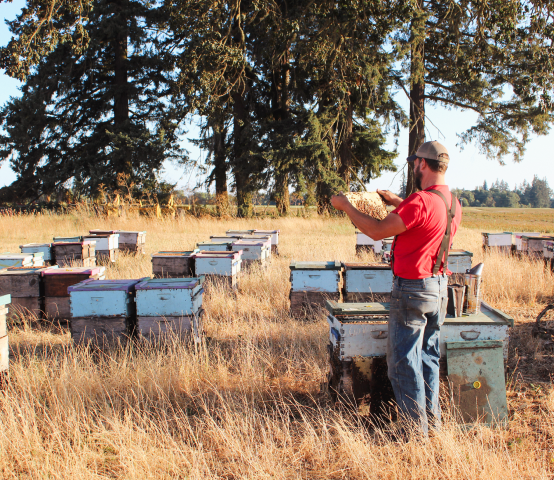 Oso Honey Farm