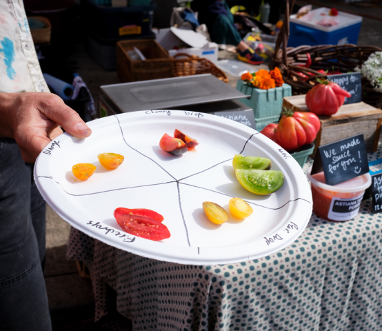 Tomato Fest '24 Was a Blast!