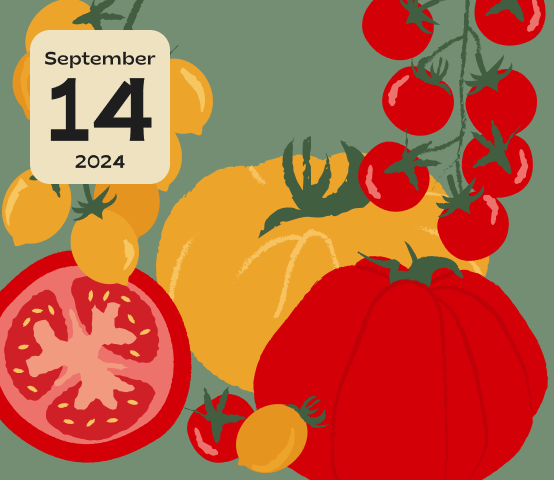 4th Annual Tomato Fest