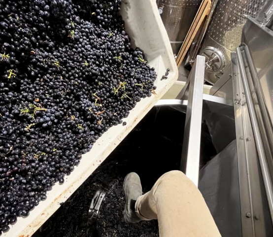 The Most Wonderful Time of the Year (If You Like Sleep Deprivation and Forklifts)