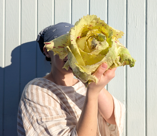 What’s Good in Winter (Besides Sweaters and Staying Inside)