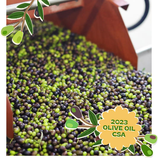 Olive Oil CSA