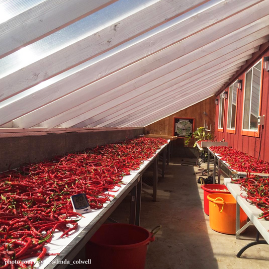 Ayers Creek Farm, Anthony & Carol Boutard Wellspent Market