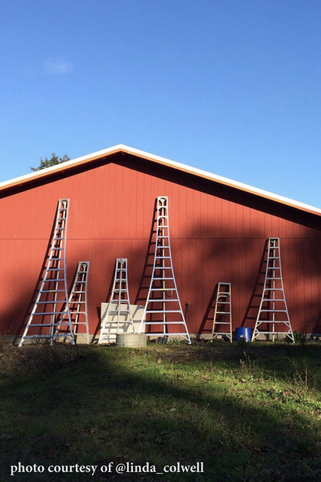 Ayers Creek Farm, Anthony & Carol Boutard Wellspent Market