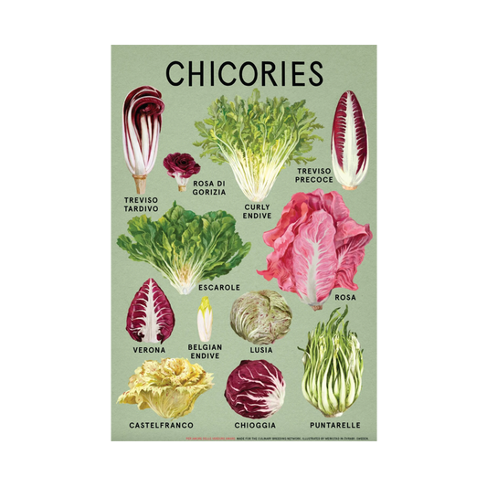 Chicories Poster