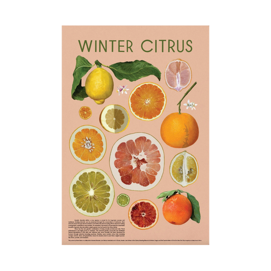 Winter Citrus Poster