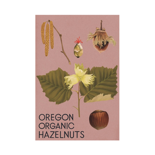 Oregon Hazelnuts Poster