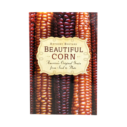 Beautiful Corn