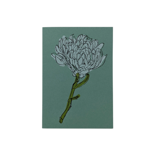 Greeting Card - Chrysanthemum